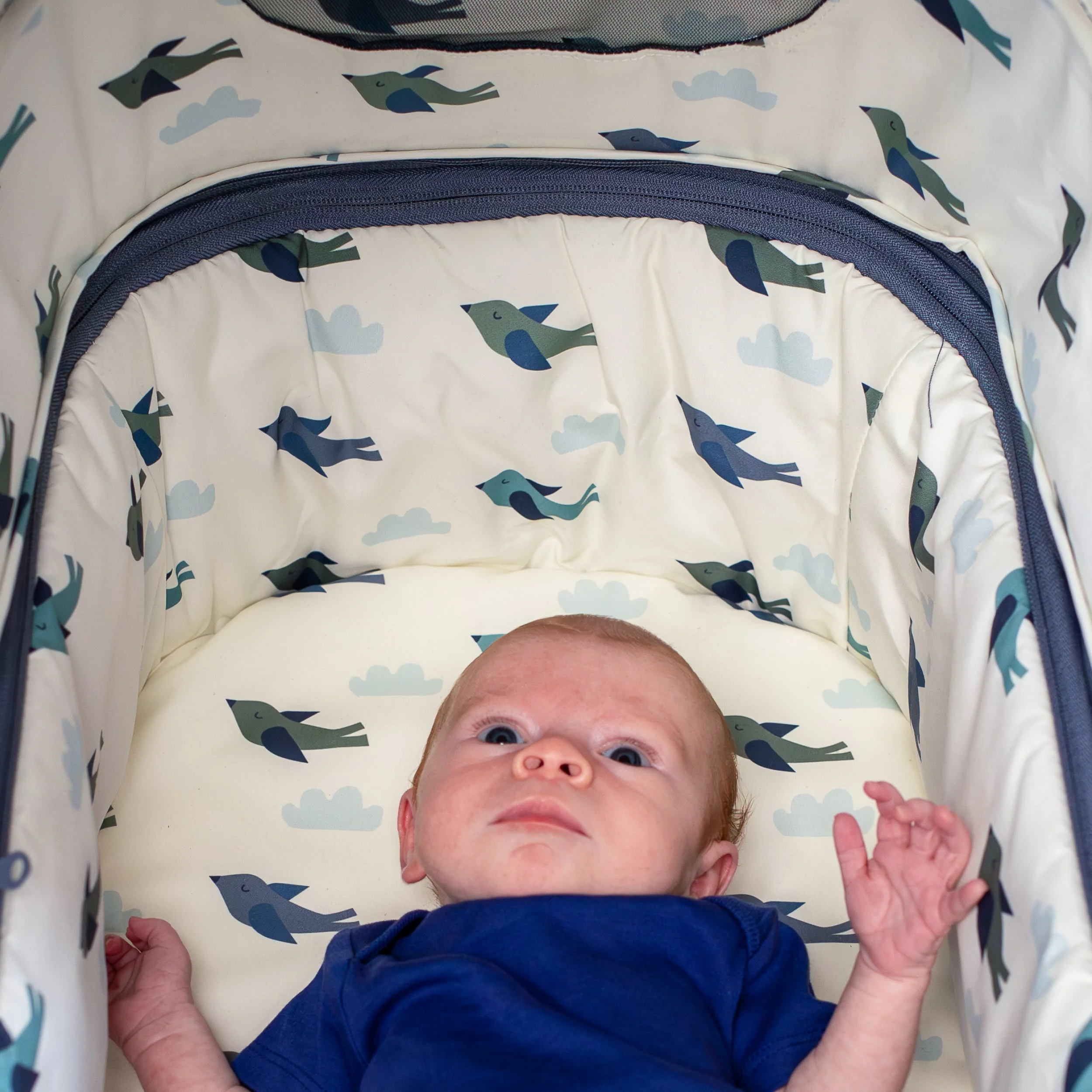 Giggle 4 Special Edition Everything Bundle Skylark - Image 6