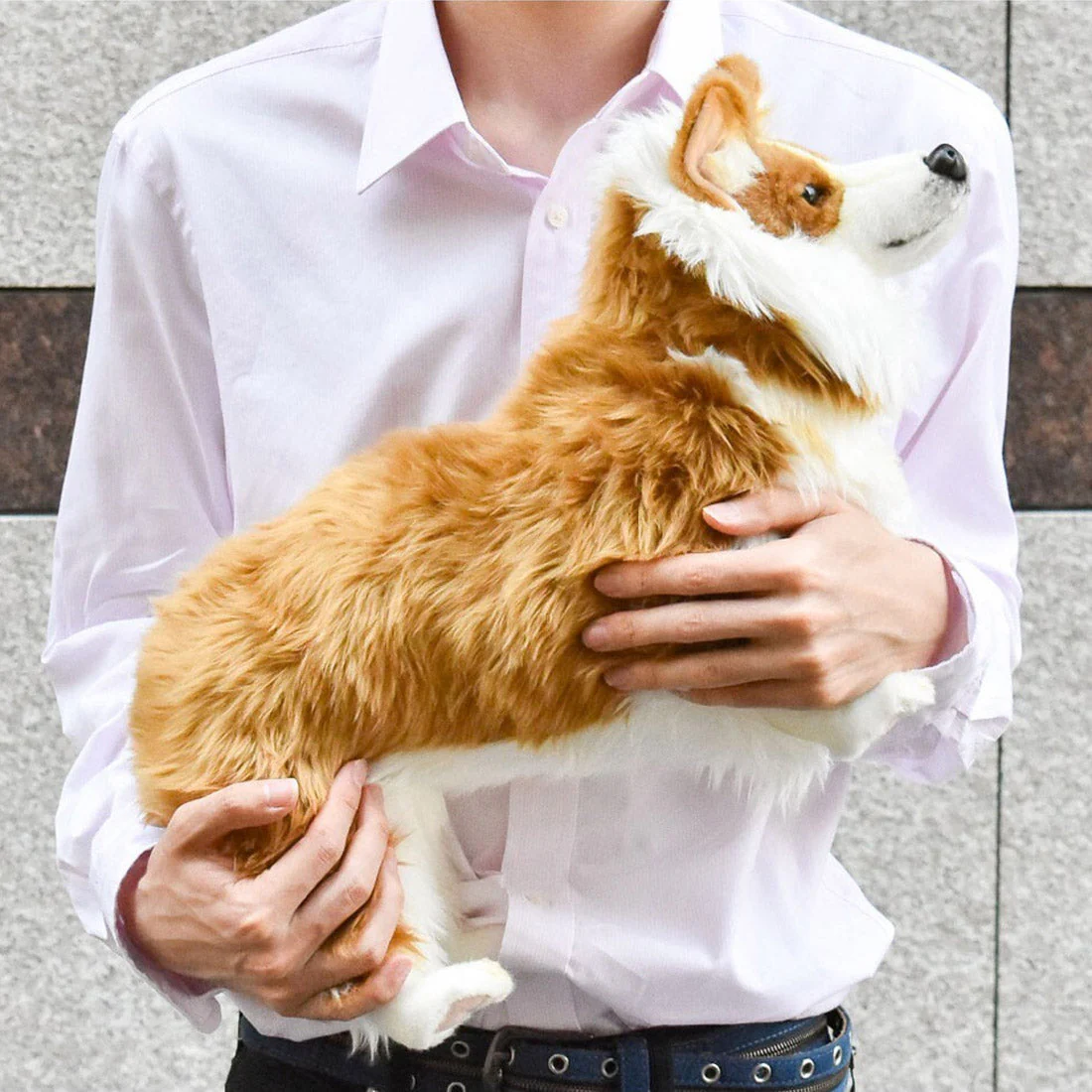 Hansa Welsh Corgi Plush Toy - Image 3