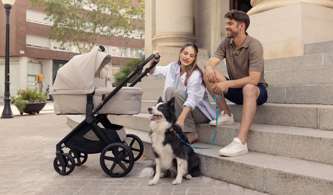 Jane Muum-4 + Trio Koos Travel System - Image 51