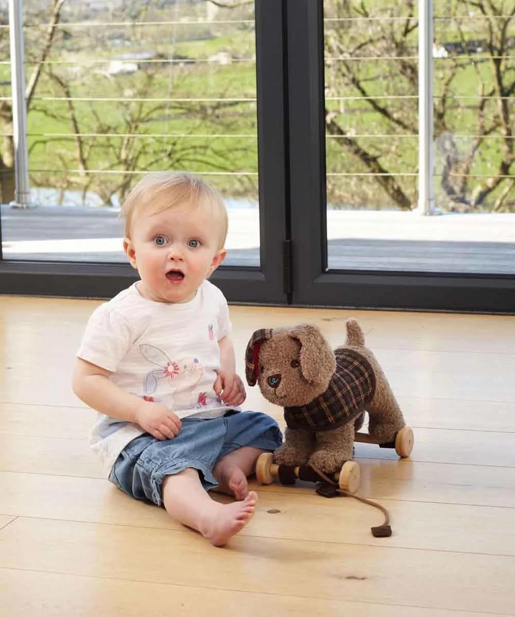 Little Bird Told Me Percy Pup 2-in-1 Pull Along Toy - Image 3