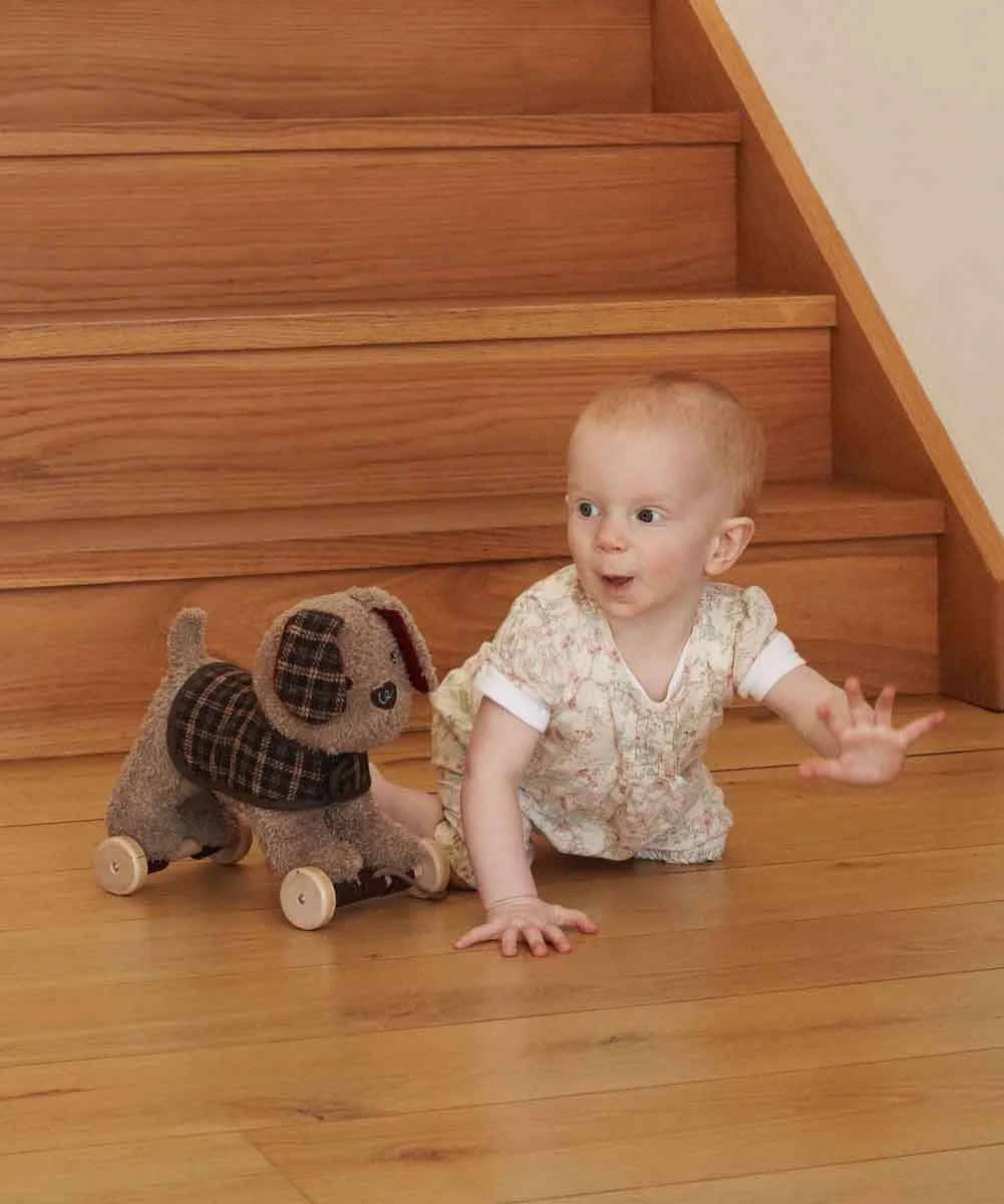 Little Bird Told Me Percy Pup 2-in-1 Pull Along Toy - Image 4