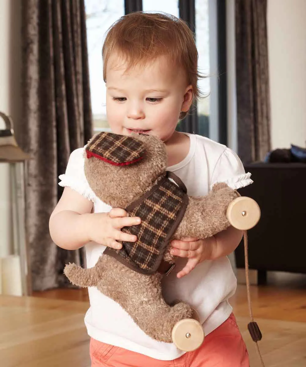 Little Bird Told Me Percy Pup 2-in-1 Pull Along Toy - Image 5