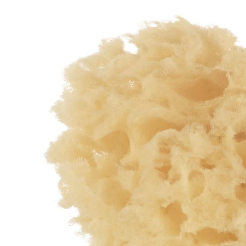 Natural Sponges (2 Pack) - Image 2