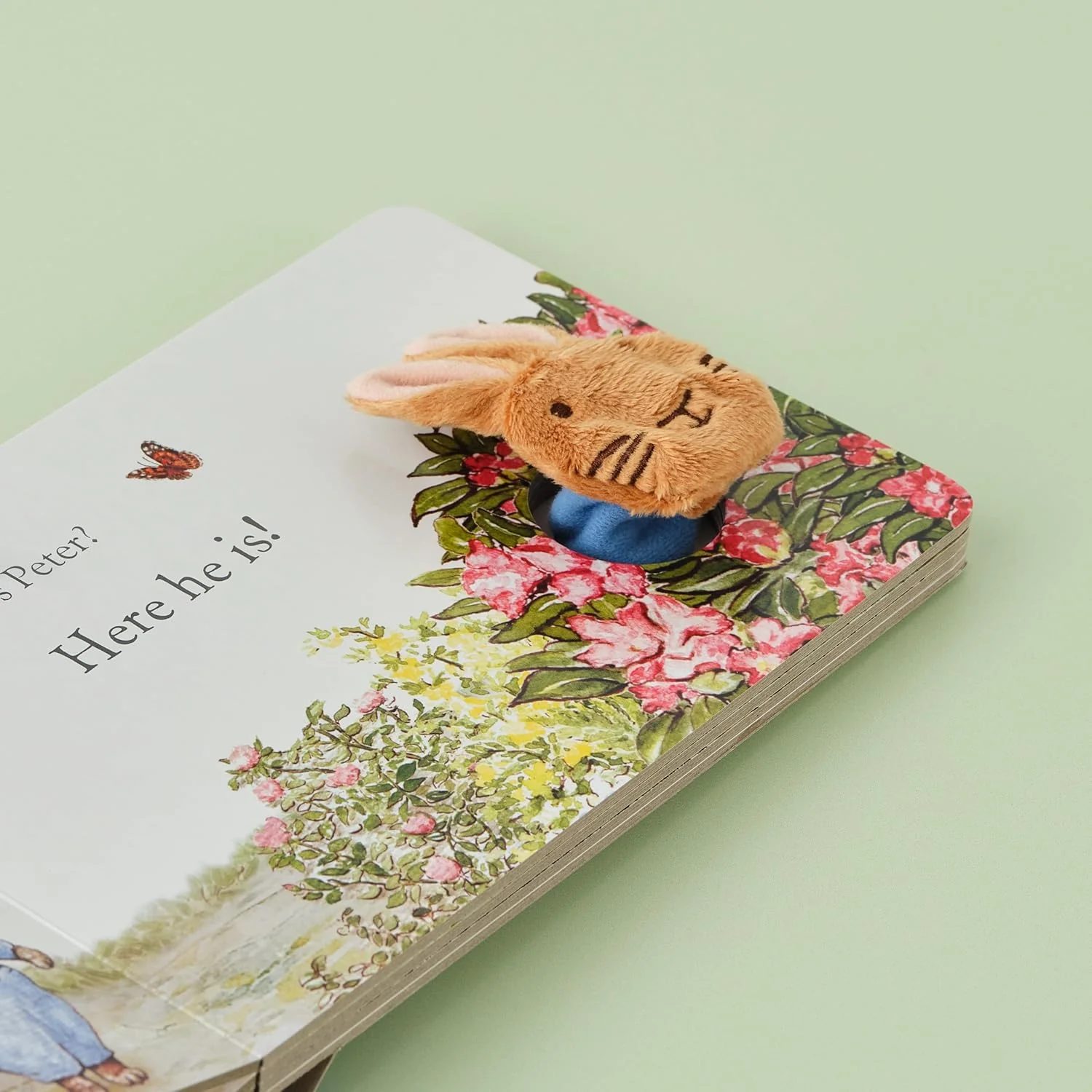 Rainbow Designs Peter Rabbit Finger Puppet Book - Image 3