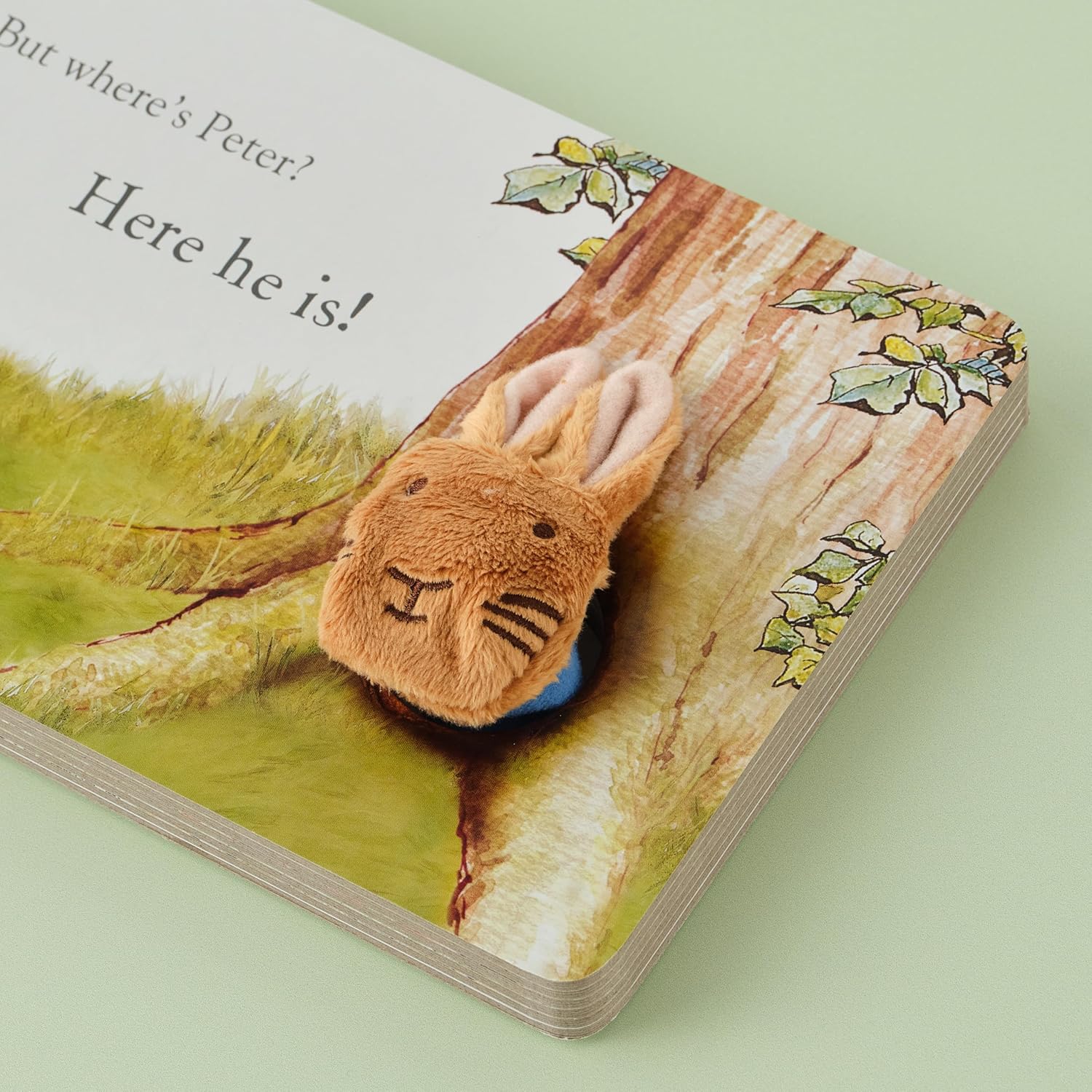 Rainbow Designs Peter Rabbit Finger Puppet Book - Image 5