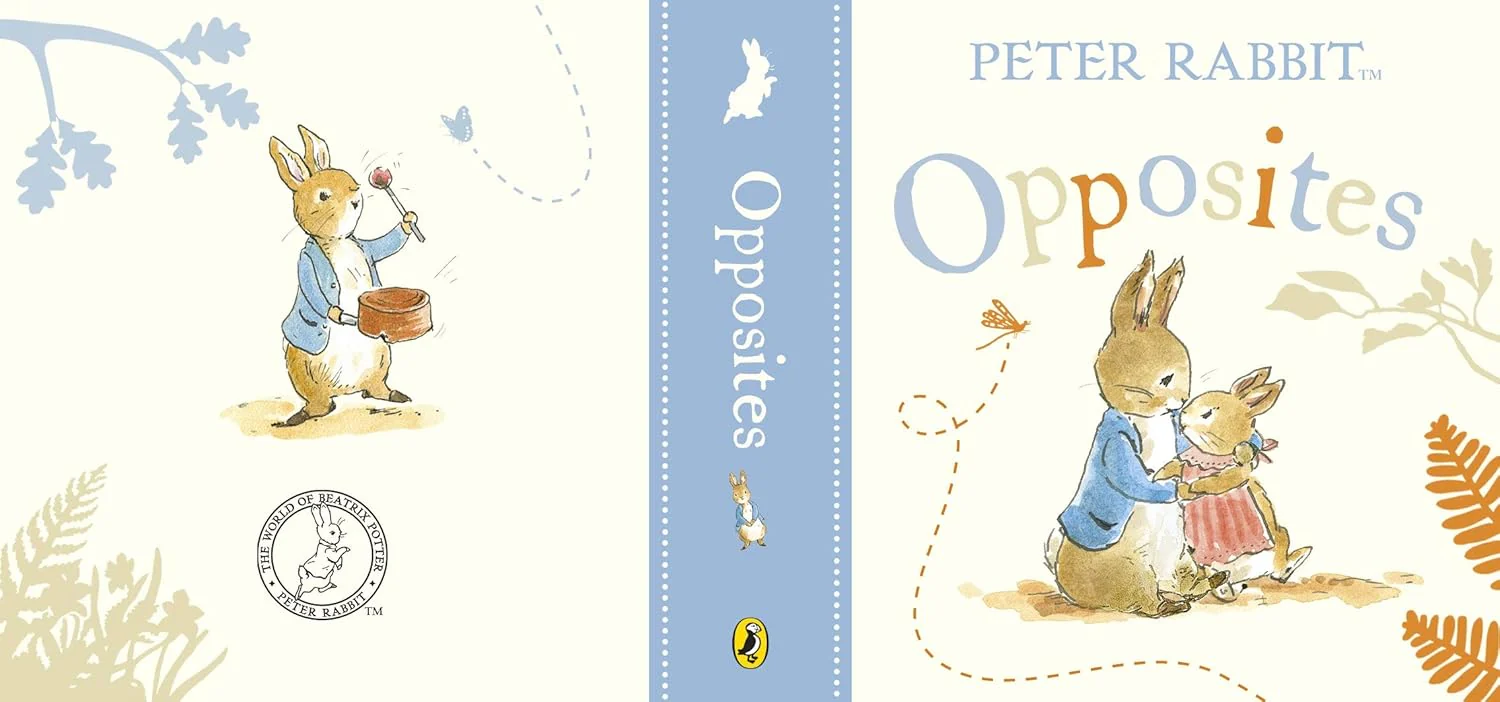 Rainbow Designs Peter Rabbit Tales Little Library - Image 9