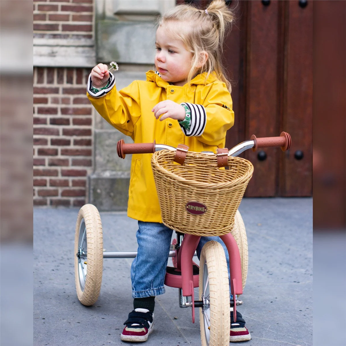 TryBike 2-in-1 Balance Trike/Bike - Matte - Image 30
